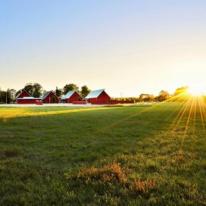 Agriculture machinery