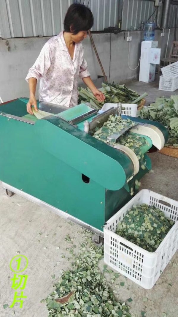 Tea Leaf Cutting Machine for Fresh Leaves - 图片 5