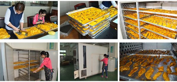 SURRI 3HP Commercial Solar Heat Pump Farm dryer - 图片 5