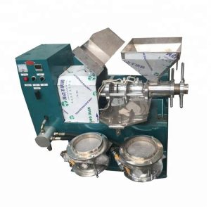SURRI 220 V Automatic Stainless Steel Coconut Oil Extraction Machine