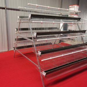 SURRI New Multi-Layer Stepped A-Shaped Stacked Chicken Cages Hot-Dip Galvanized Wire for Home Farming
